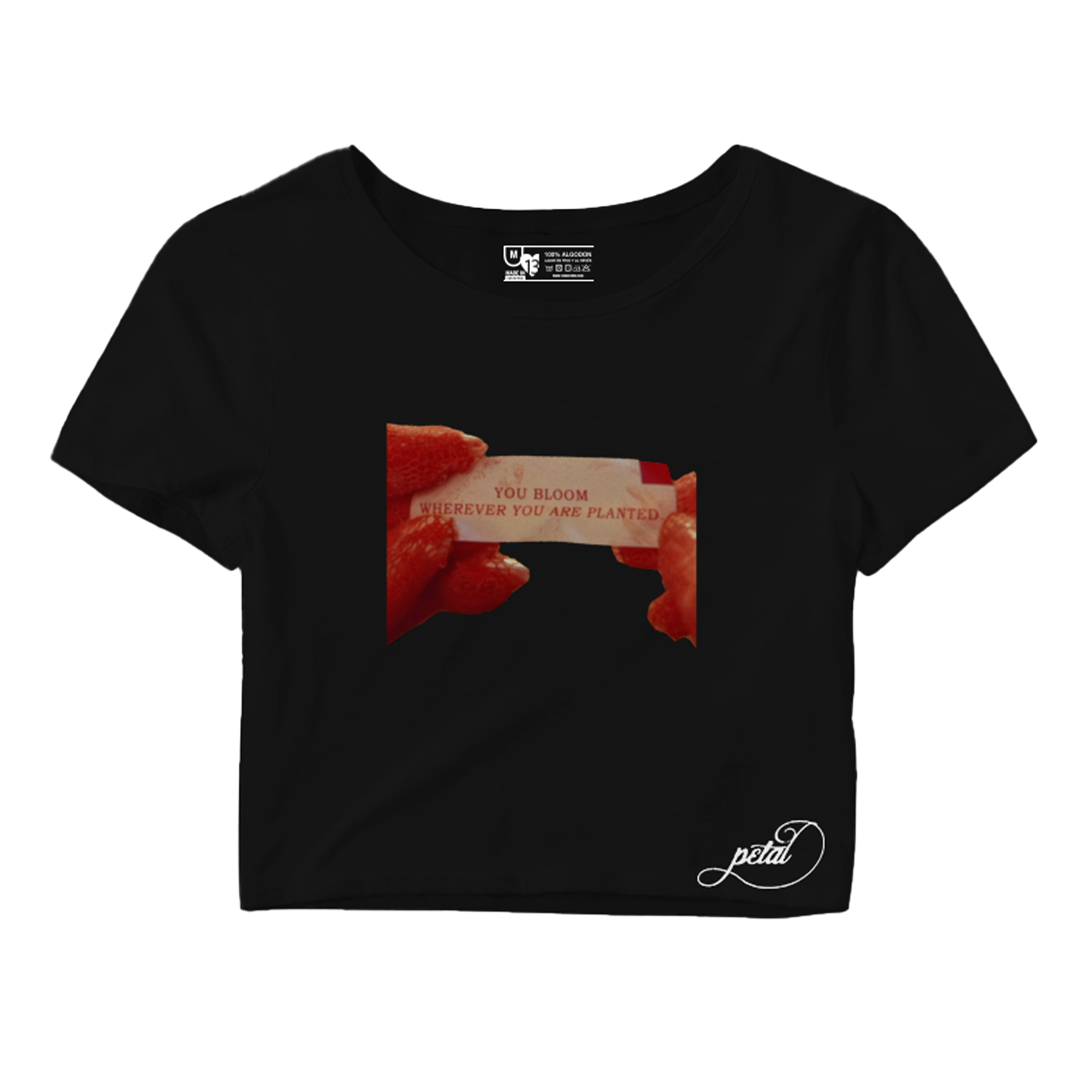 Ariana Grande - Petal Colección Ropa